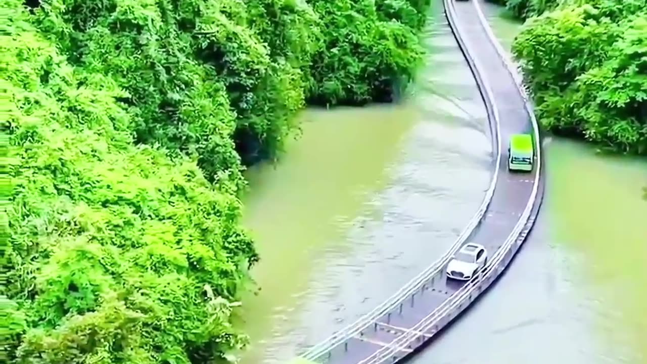 Are You a good enough Driver to Cross this Bridge? 😱🙀