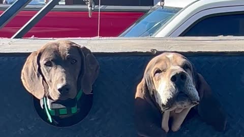 Truck Bed of Good Boys