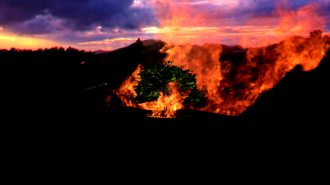 KYLESA - Low Tide (Official Music Video)