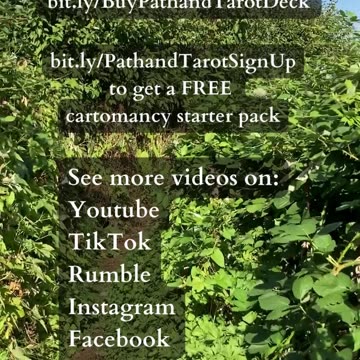 Something Truly Magnificent | Path and Tarot Reading