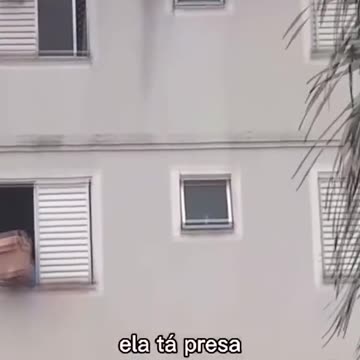 Fqinja shpeton qenin