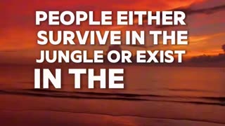 Are you thriving in the wild or just existing in a cage? 🦁🌿