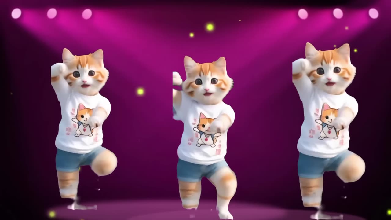 cat funny dance dancingcat