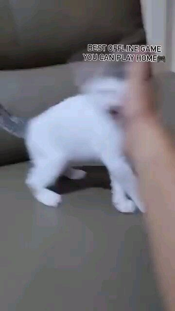 Best game you can play offline😂😂🤣