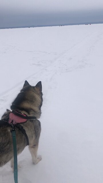 Saturday January 25, God is working in you