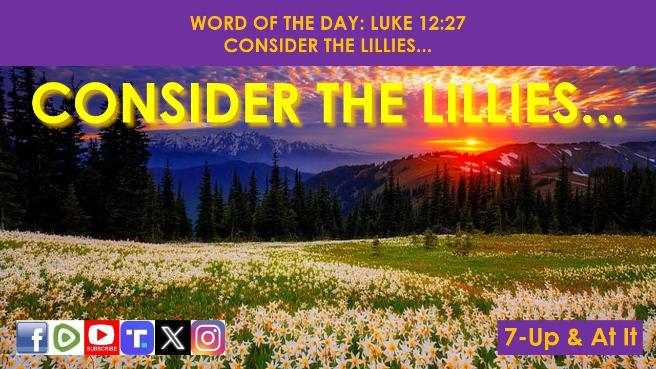 WORD OF THE DAY: LUKE 12:27​ - CONSIDER THE LILLIES...​