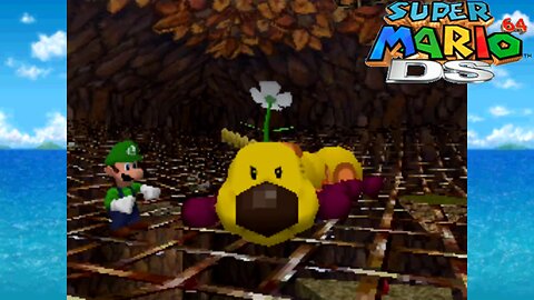 Super Mario 64 DS “Wigglers War”