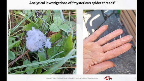 Mysterious Spider Threads and how to beat the Corrupt Systems - Christian Oesch
