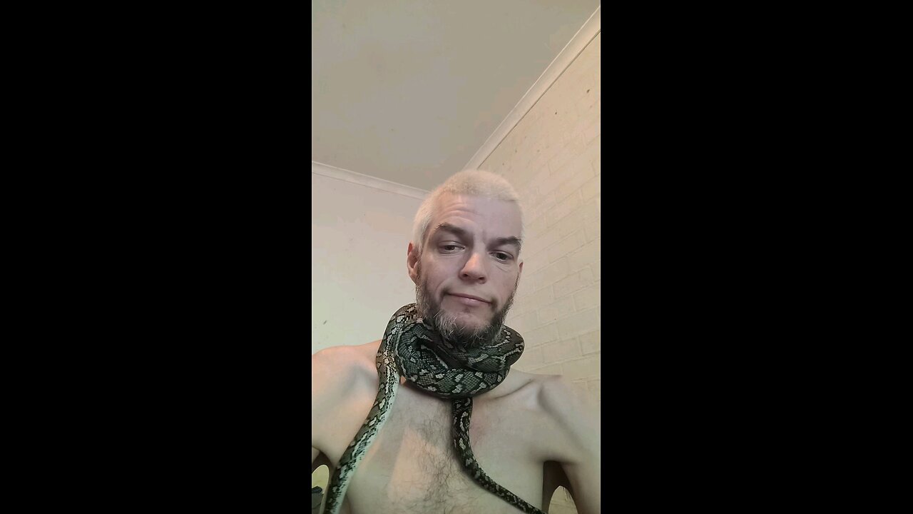 🐍
