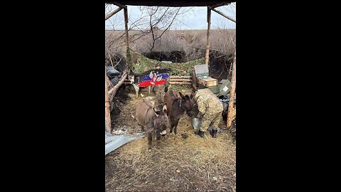 🫏 Even more donkeys in Russian Armed Forces…