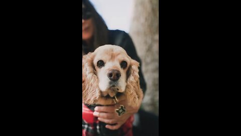 Cute dog..