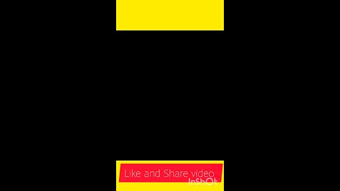 Lovely song life animals