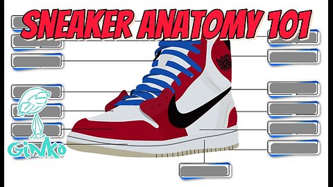 Sneaker Anatomy 101 - Parts of a Sneaker