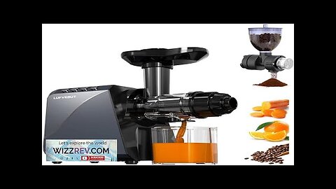 Cold Press Slow Juicers for Carrot Celery Ginger Ginger Electric Coffee Grinder Review