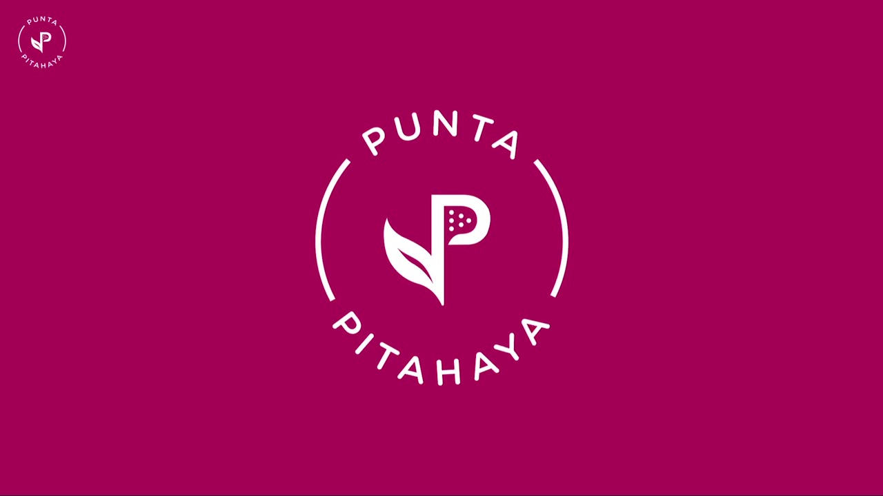 NUEVA ETAPA EN DESARROLLO PUNTA PITAHAYA EN BOSQUES DE CANCUN