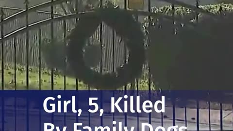 GIRL, 5, KILLED, BY FAMILY DOGS