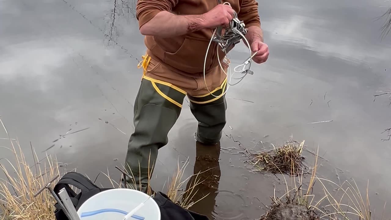 Trapping Beavers in Centre County.