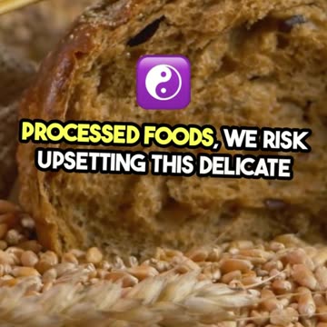 Unlock the Power of Good Gut Bacteria!