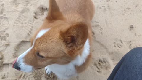 Edgar and me at the beach (Shorts)