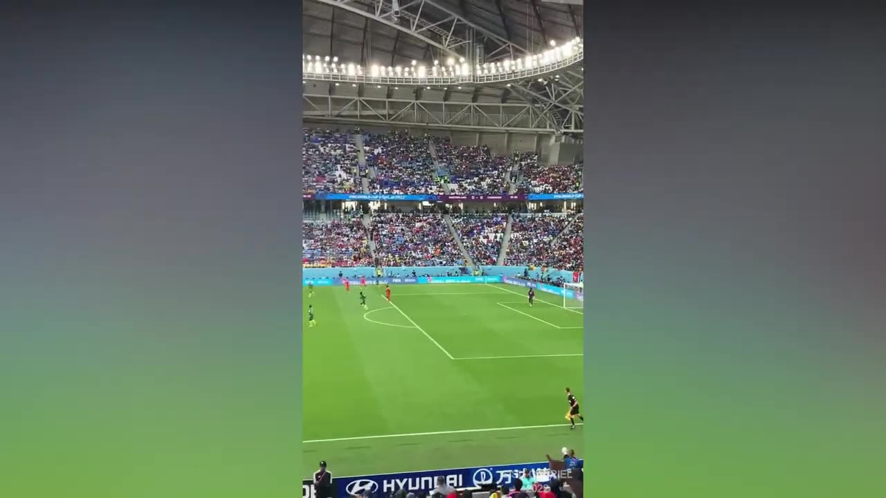 The fans of Cameroon are very charismatic (FIFA World Cup)