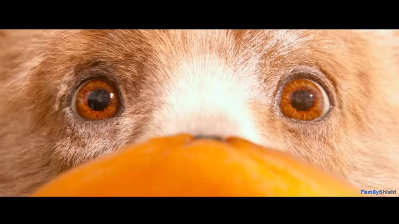Paddington (2014) FamilyShield Review