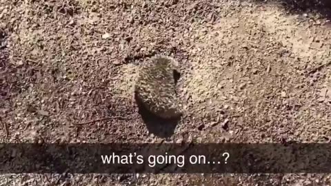 saw this outside today