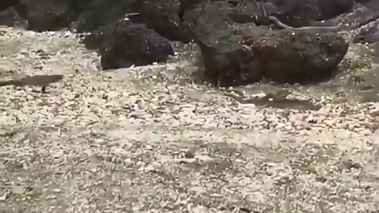 The art of escaping