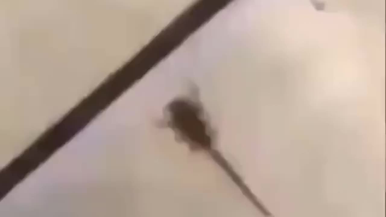 OH HELL NO