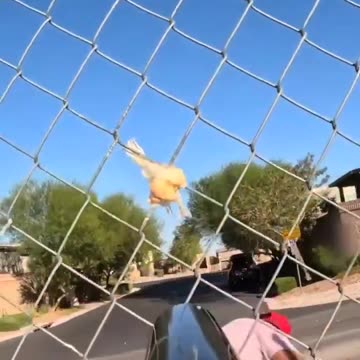 I can’t stop watching this 🤣