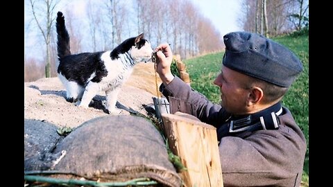 Nazis love For Animals 🤍