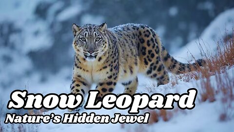 The Majestic Snow Leopard: Nature's Masterpiece | #animals #facts #viral