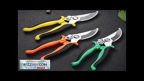 Pruner Garden Scissors Professional Sharp Bypass Pruning Shears Tree Trimmers Secateurs Hand Review