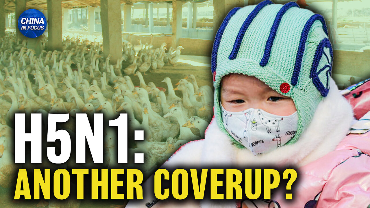Insider Blows Whistle on China’s Bird Flu Reporting | Trailer | China in Focus