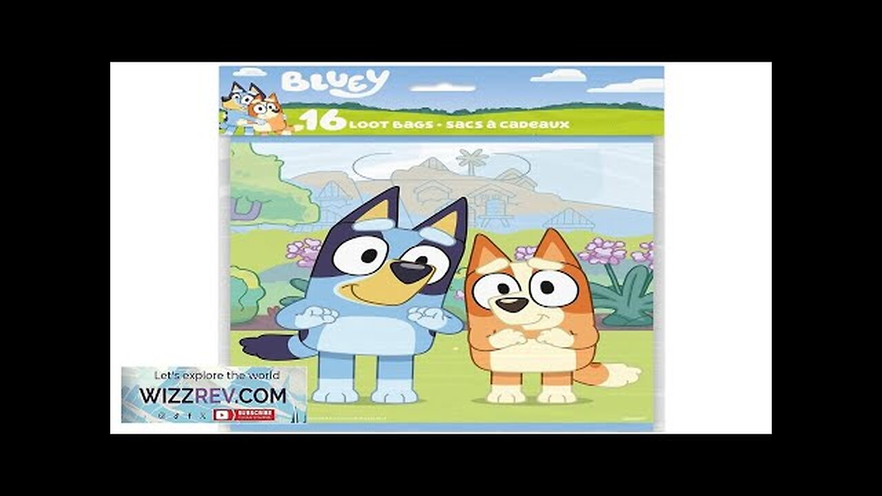 Unique Bluey Goodie Bags for Bluey Party Favors 16 Review