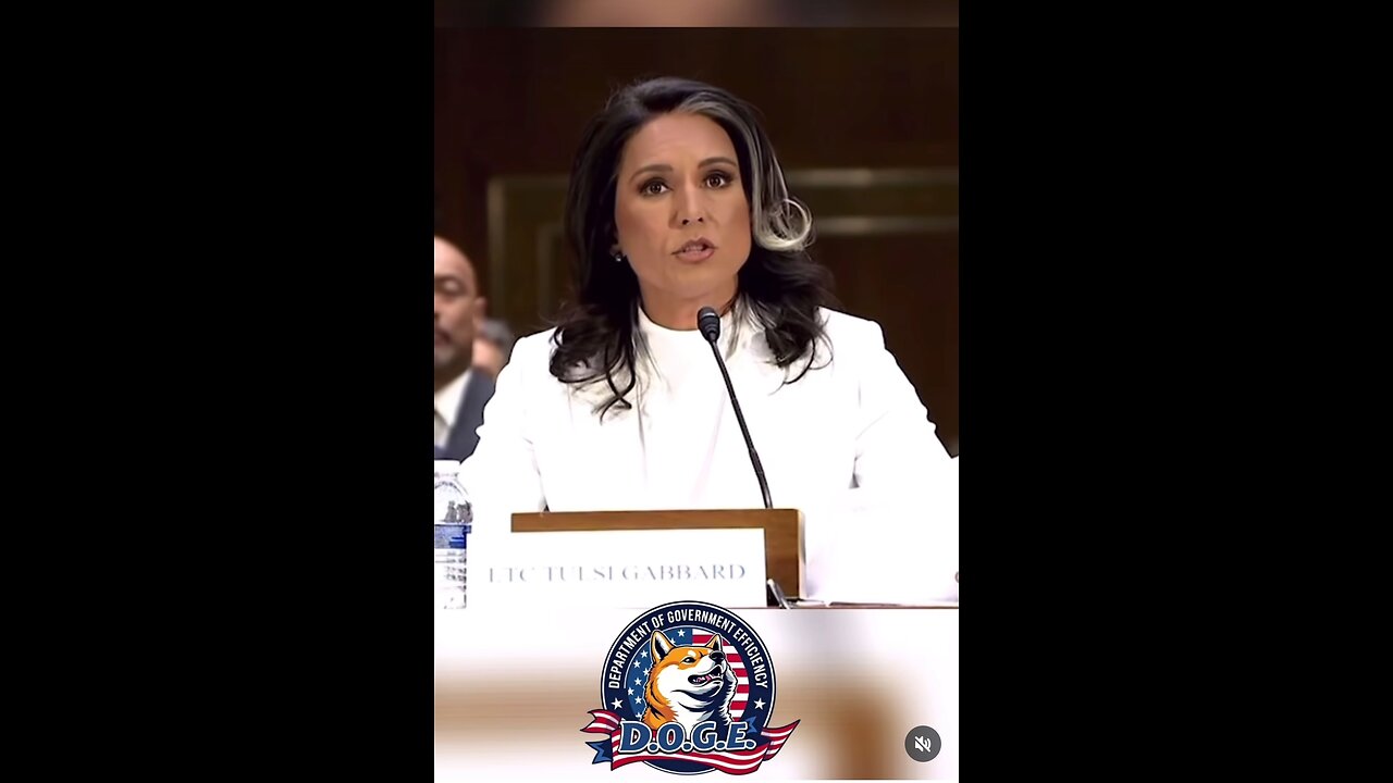 Tulsi Gabbard Is No One's Puppet, Except Edward Snowden