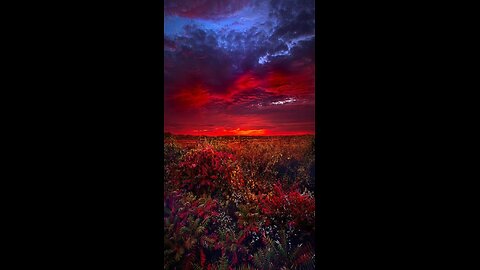 Sky 🌼 239 ~ What Do You Think About Church