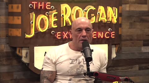 Elon to Rogan: [we shouldn't] be jamming a kid with a giant vial that's 20 diff things at a time.