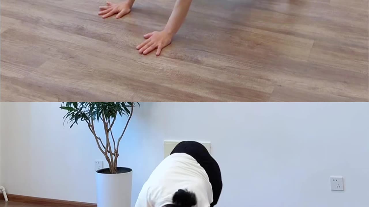 617.搖頭擺尾 悠哉悠哉