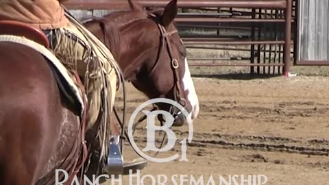 Changing directions without shifting their front end.