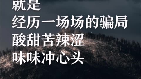 人生的路程呐，就是，经历一场场的骗局。酸甜苦辣涩，味味冲心头。