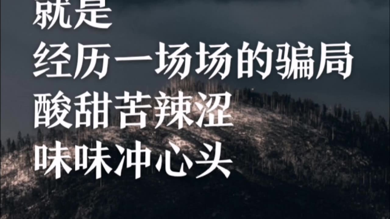 人生的路程呐，就是，经历一场场的骗局。酸甜苦辣涩，味味冲心头。
