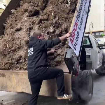 PETA activists tried to dump a truckload of dirt but its Frozen Solid