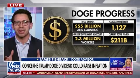 Will DOGE send Americans stimulus checks? Here's everything we know