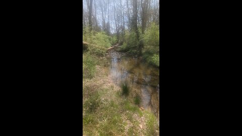 little stream