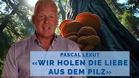 Unternehmer Pascal Lexut: «Unser Produkt hilft dem Körper, sich selbst zu helfen»