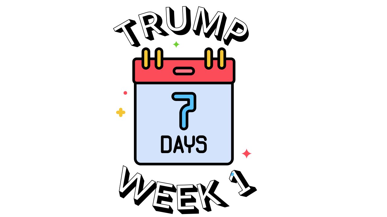 TRUMP: Week 1