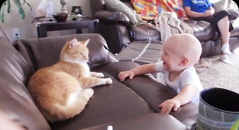 Baby and Cat funn and cute| #7