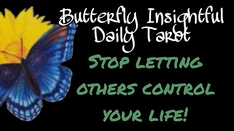 Butterfly Insightful Daily Tarot - Your life, your choice! Take accountability!