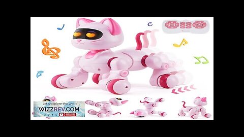 VEVOR RC Robot Cat Toy for Kid Talking Dancing Touch Remote Control Review