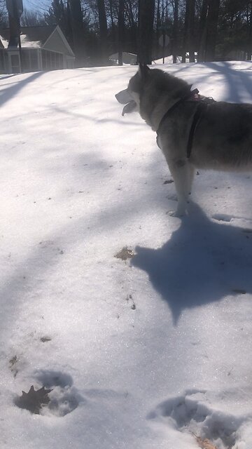 Thursday March 27, They don’t know where to go for help